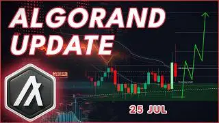 MAJOR MOVE Brewing For Algorand Now! (ALGO Update)