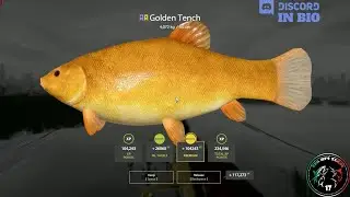 Bear Lake spot, Trophy Golden Tench - #59 - Russian Fishing 4 / RF4