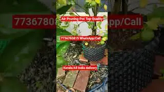7736780815  WhatsApp/Call.#AirPot NEW QUALITY.#Air pot. #Air prooning pot, #air pruning, #trending