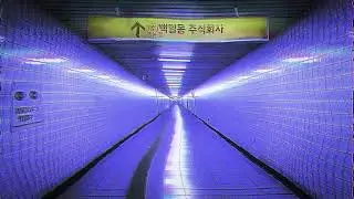 아니 뭐 플리가 고작 얼마나 무섭다고...