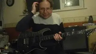 Ever Heard of Palm Bay Guitars?