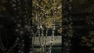 Marunouchi Street winter Illumination 2025#japan #marunouchi #tokyo #winterspecial #illumination