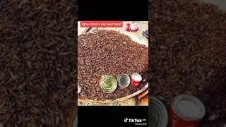 Natural Food from Eastern Nigeria in West Africa.