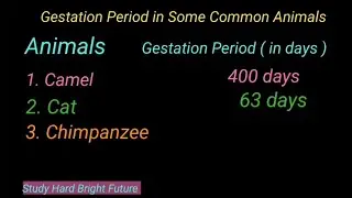 Gestation Period of Animals | General knowledge | Study Hard Bright Future | 2023