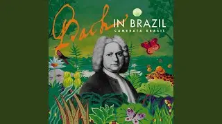 Concerto for Two Violins in D Minor, BWV 1043: I. Vivace (Arr. Cazes)