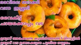 Uzhunnuvada Recipe | Evening Snacks Malayalam | രാവിലെ ബാക്കി വന്ന ഇഡലി | SR HOBBIES