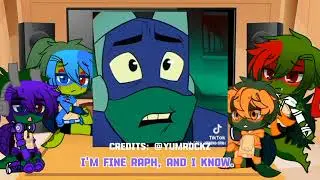 ROTTMNT react to Donnie