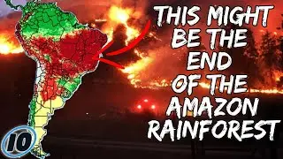 Amazon Rain Forest Fires Officially The Worst Disaster In History
