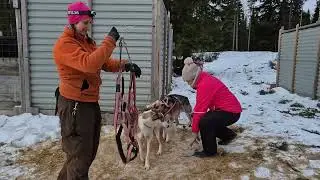 Video 10, 28 dec 2025
