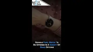 Google Pixel Watch to Be Offered in a Variety of Band Options