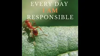 Every Day I Am Responsible (Audio Experience) &mdash; Short Edition | Narrated by George