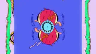 CutOut Fest / Teaser 2018