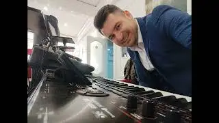 Muzica de petrecere - Frunza de bostan uscat - Victor Luca (Cover)