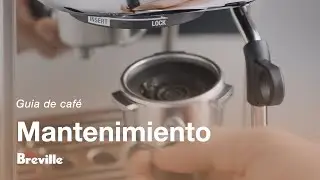 The Bambino&trade; Plus | C&oacute;mo hacer un retrolavado en tu m&aacute;quina de espresso | Breville M&eacute;xico