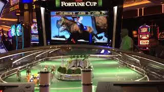 Fortune Cup
