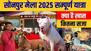 सोनपुर मेला 2025 संपूर्ण यात्रा | Sonpur Mela 2025 | Ghoda bazar | Theatre | Jhula video| Ram mandir