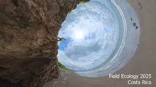 Southern Biology - Pacific Time - Field Ecology, Costa Rica 2025