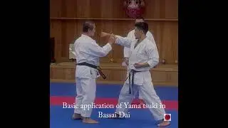 Bassai Dai-Yama Tsuki basic application, Kagawa Sensei JKS #karatebasics #karate