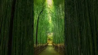 RELAXING MUSIC - JAPAN - How to Relax with Relaxing Music. #folk #piano #shorts #short #relaxing