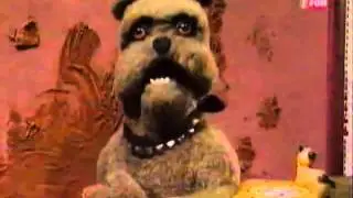 Pets - Trevor protesta