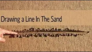 Draw a line  in the Sand Sales Closing Technique-Claude Diamond