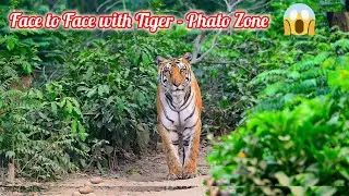 जंगल मे Tiger से आमना सामना  - Jim Corbett 😱 #wildlife #newvideo #trending