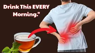 Top 7 Morning Teas to Revive Your Kidneys | Senior Health Secrets,