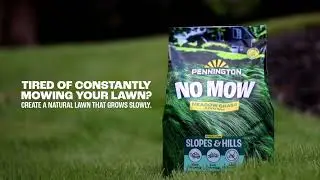 Pennington No Mow Meadow Grass Seed Mix &ndash; Tired of constantly mowing your lawn?