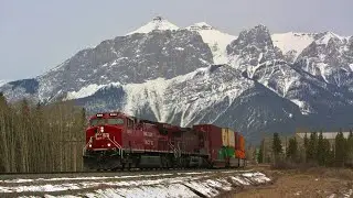 HIGHBALL!!! CP 8068, CP 8535, CP 8847 and CP 9713 leads CP 100 east near Canmore, Alberta