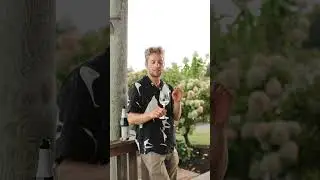 RGNY - White Sparkling Wine with Winemaker Jonathan G. Bomberg