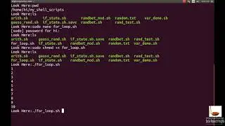 Programming in Linux Shell 4: FOR Loop