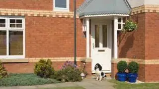 CRSMITH DOG
