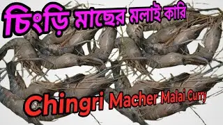 🦐Chingri Macher Malai Curry🦐#ChingriMacherMalaiCurry#BengaliCuisine#PrawnCurry#MalaiCurry#vlog#food