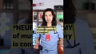 Что такое МЫШЕЧНАЯ ПАМЯТЬ?