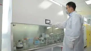 biosafety cabinet for laboratory #factory #laboratory #drick