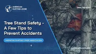Tree Stand Safety: A Few Tips to Prevent Accidents | American Hunting Lease Association