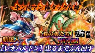 【キン肉マン極タッグ乱舞】真の男たちガチャ【特攻編】SSR『レオパルドン』出るまでぶん回す！