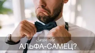 Зачем тебе Альфа Самец?