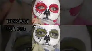 How do those with colour blindness perceive face paint?#Shorts #ColourBlind #ColorBlind
