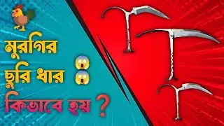 মুরগির ছুরি ধার কিভাবে হয় ? | Murgi Chhuri Dhar Kivabe Hoy ? | New Video 