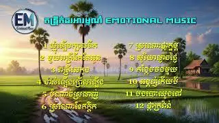 12 បទ ពីរោះៗ ( តន្ត្រីកំដរអារម្មណ៍ - Emotional Music ) ចាក់ក្នុងហាង