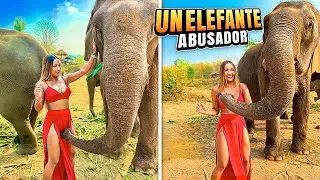 OMG 😱 Elefante se enamora de mi y esto pas&oacute; 😳 | Chiang Mai Tailandia 2024