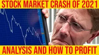 Stock Market Crash of 2021  Analysis And How To Profit