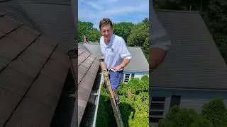 Won't Gutter Leaves Get Stuck In GutterBrush GutterGuard?   #diyhomemaintenance #diy #homehacks