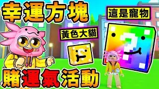 新活動【幸運方塊❤Huge大貓】會跟著你跑超可愛！【寵物模擬器X】賭運氣的幸運方塊改版～全攻略！Roblox 機械方塊