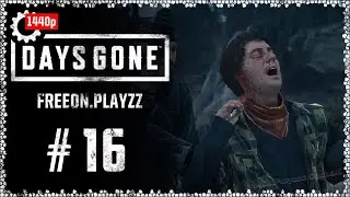 DAYS GONE☆Жизнь После #16 Бывали у меня дни и получше [1440p60 ULTRA] Без комментариев #Free0nPlayzz