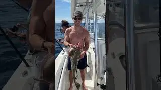 Nothing compares to being on a boat out in the middle of the ocean!! #stgeorgeisland #deepseafishing