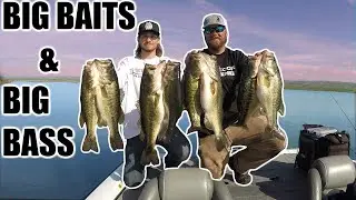 NON STOP BIG FISH BEAT DOWN WITH RYAN COOK - GIANT GLIDE BAIT BLOW UP