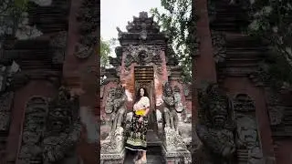 Ubud Tour by Expert Bali Driver