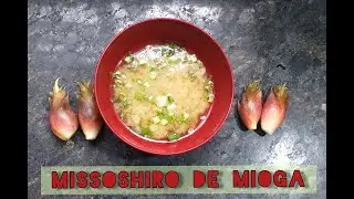 mISSOSHIRO dE mIOGA (Zengiber Mioga) #culinariajaponesa #japanesefood #comidajaponesaemcasa